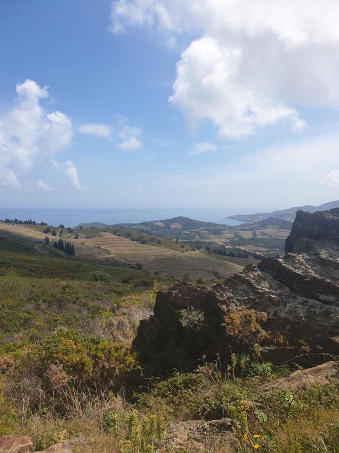 Mas Del Roumany Villa Port Vendres Bagian luar foto