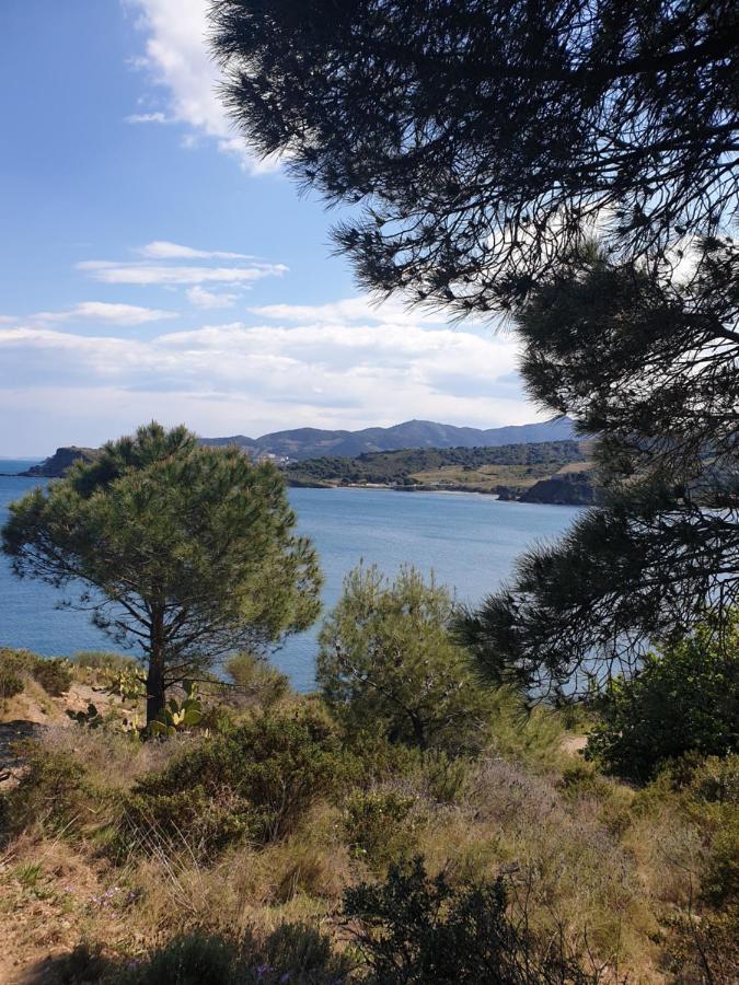 Mas Del Roumany Villa Port Vendres Bagian luar foto
