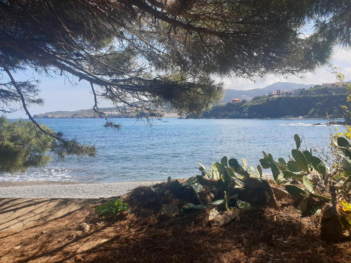 Mas Del Roumany Villa Port Vendres Bagian luar foto