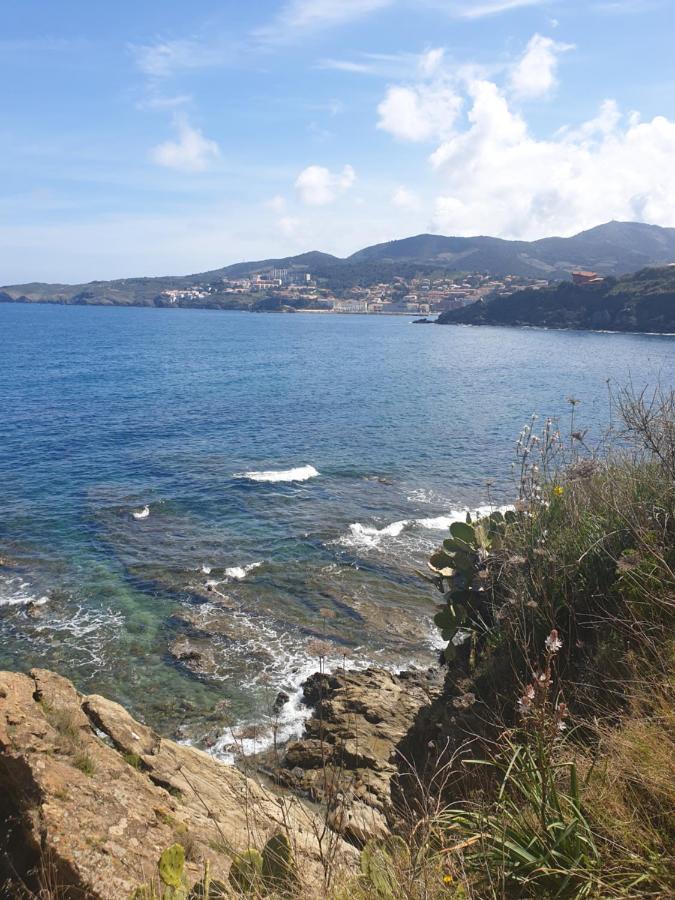 Mas Del Roumany Villa Port Vendres Bagian luar foto