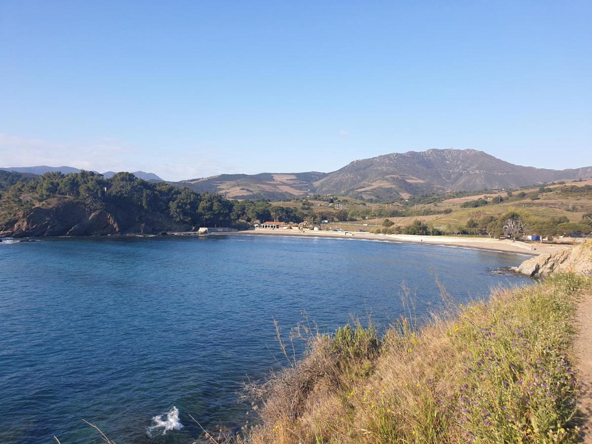 Mas Del Roumany Villa Port Vendres Bagian luar foto