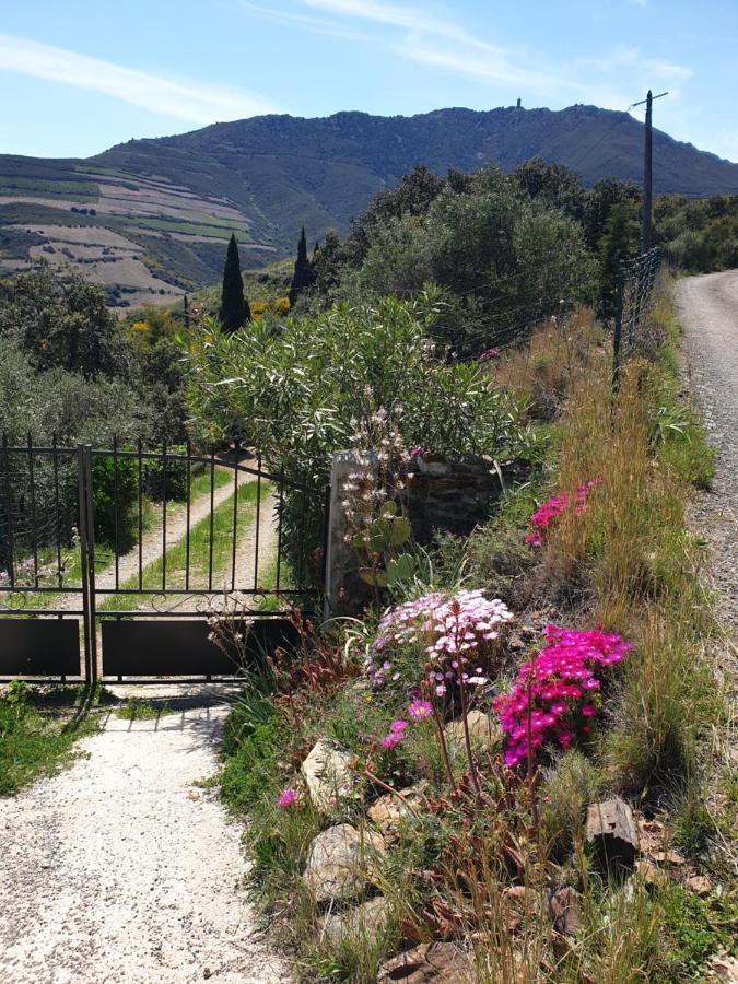 Mas Del Roumany Villa Port Vendres Bagian luar foto