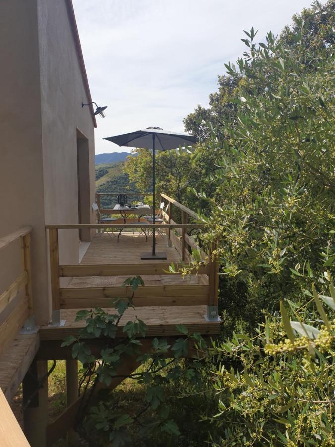 Mas Del Roumany Villa Port Vendres Bagian luar foto