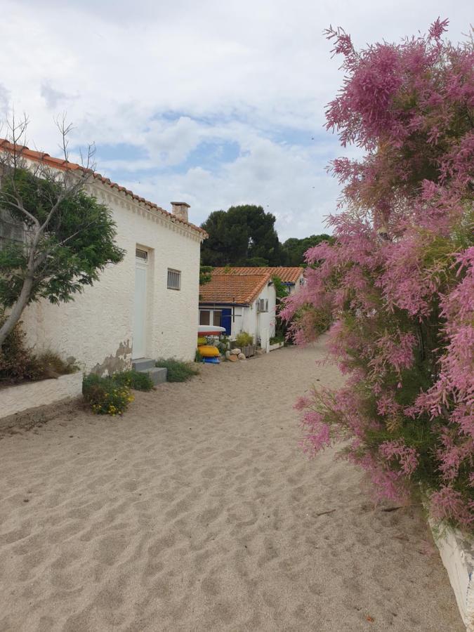Mas Del Roumany Villa Port Vendres Bagian luar foto