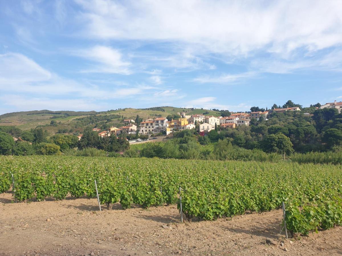 Mas Del Roumany Villa Port Vendres Bagian luar foto